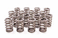 VALVE SPRINGS