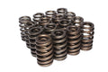 VALVE SPRINGS