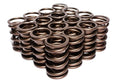 VALVE SPRINGS