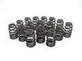 BEEHIVE VALVE SPRINGS