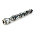 CAMSHAFT SOLID ROLLER LS