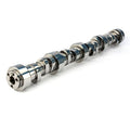 CAMSHAFT HYD ROLLER THUMPR CHV