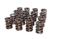 VALVE SPRINGS
