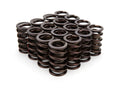VALVE SPRINGS 1.269