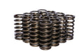 VALVE SPRINGS