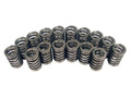 VALVE SPRING