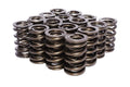 VALVE SPRING