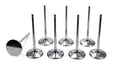 5/16 Intake Valves - 2.180