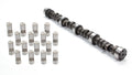 CAM+LIFTERS HYD FLAT TPPT KIT