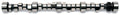 CAMSHAFT HYD ROLLER SB CHEV