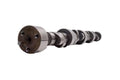 CAMSHAFT HYD ROLLER TPPT BB CH