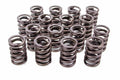 RPM VALVE SPRINGS