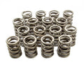 VALVE SPRINGS