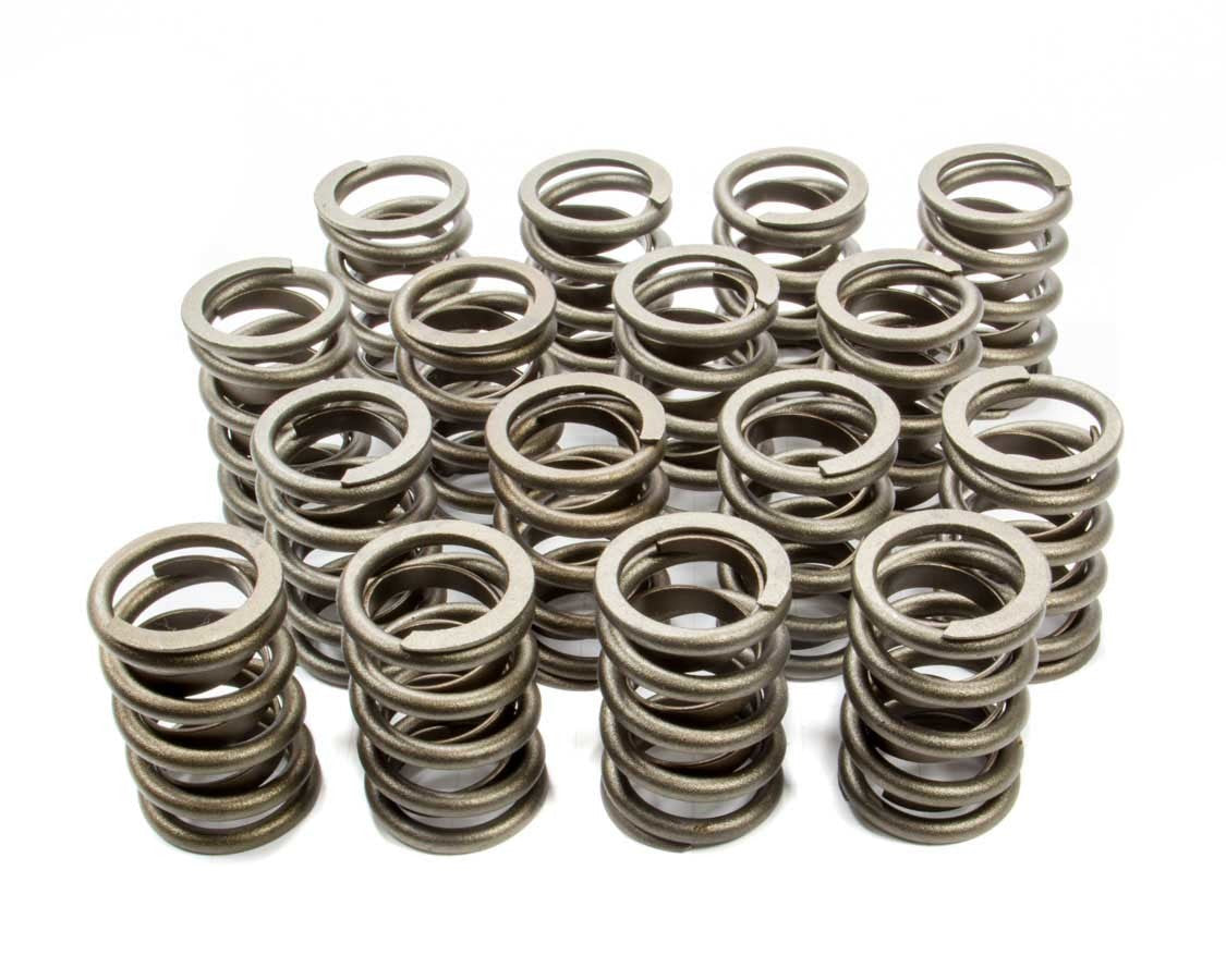 VALVE SPRINGS