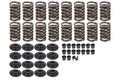TORKER SPRING KIT