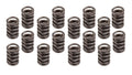 VLVE SPRGS VCTR JR FLAT TAPPAT