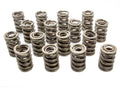 VALVE SPRINGS