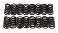 VALVE SPRINGS