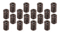 VALVE SPRINGS