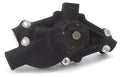 CIRCLE TRACK WATER PUMP
