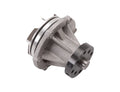 WATER PUMP CARTRIDGE SBC REPL