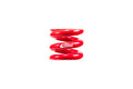 RACING SPRINGS