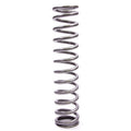 RACE MAIN SPRING