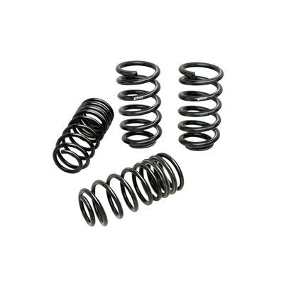 SUV PRO-KIT (SET OF 4 SPRINGS)