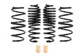 PRO KIT LOWERING SPRINGS