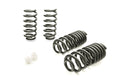 COIL SPRING LOWERING KIT