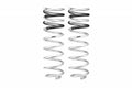 PRO-TRUCK LIFT SPRINGS