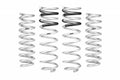 PRO-TRUCK LIFT SPRINGS