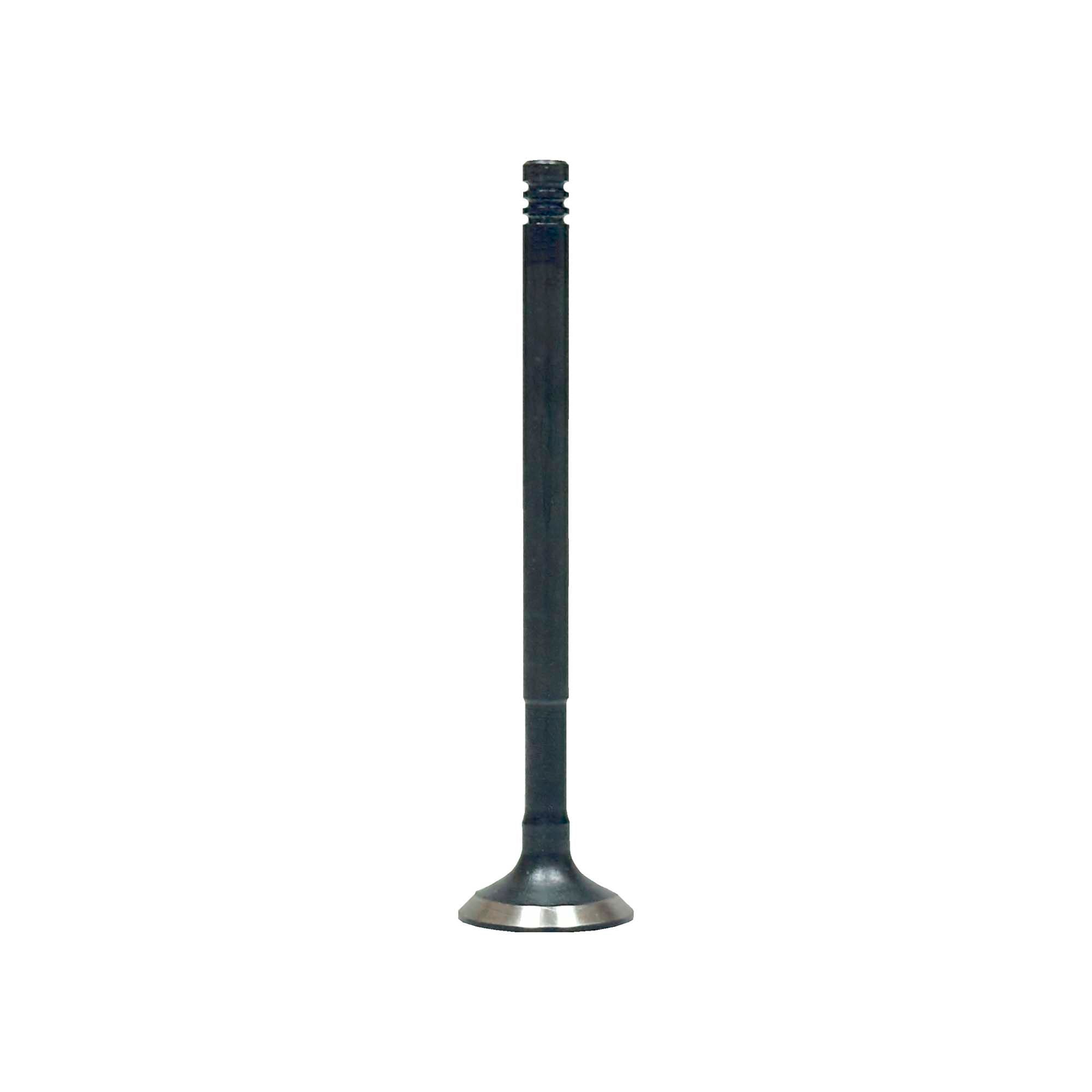 Exhaust Valve 2012-2017 Dodge,Fiat 1.4L