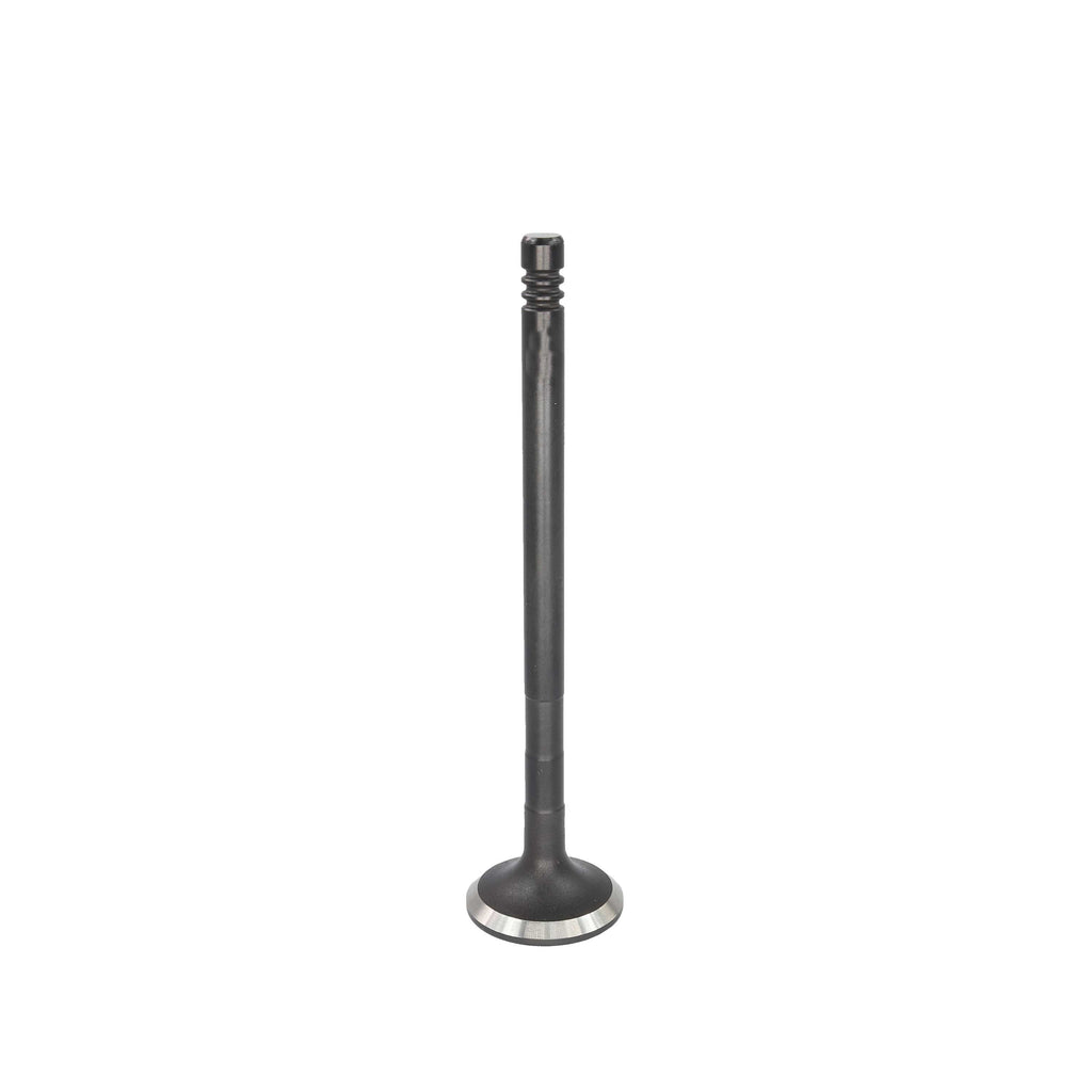 Exhaust Valve 2011-2019 Ford 1.6L