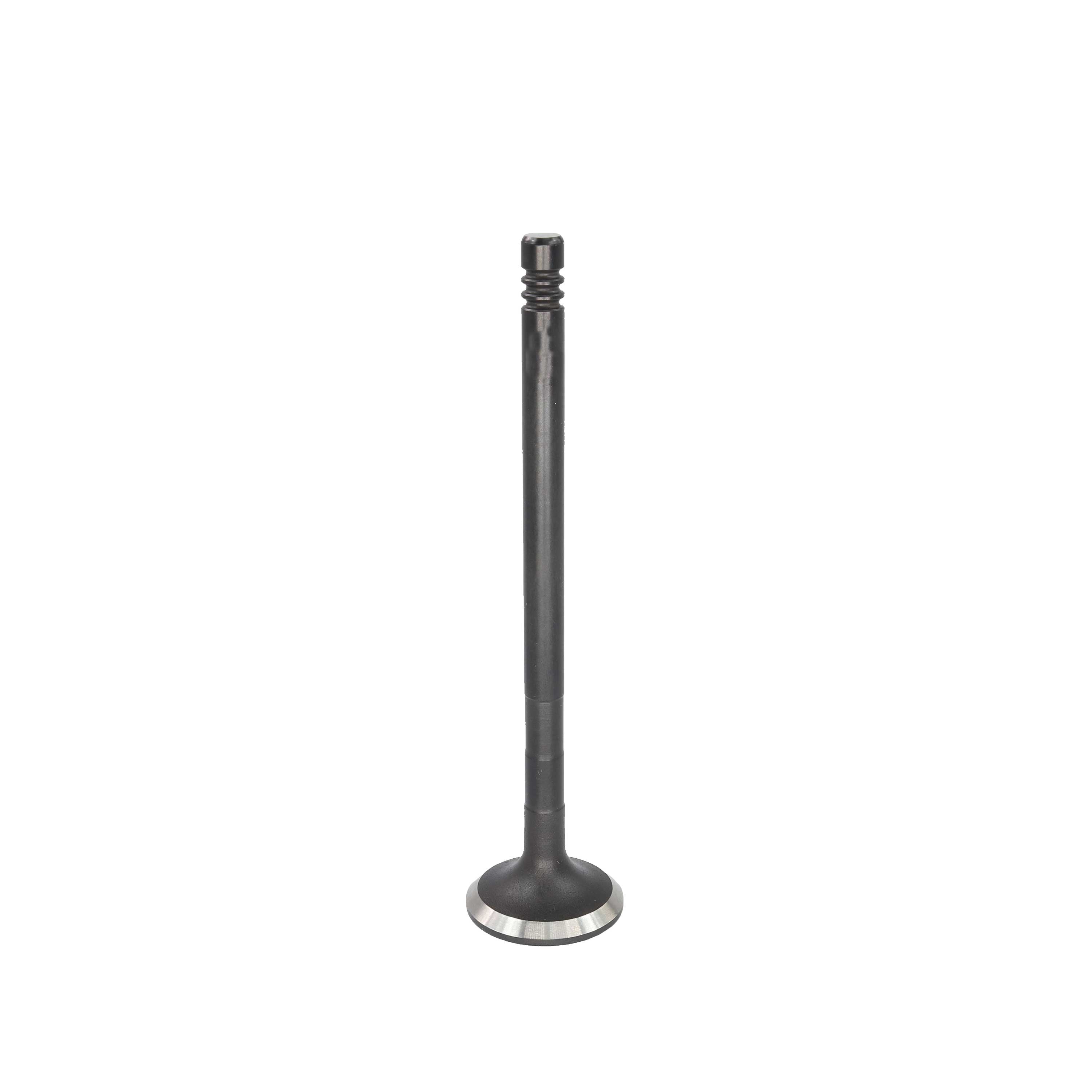Exhaust Valve 2011-2019 Ford 1.6L