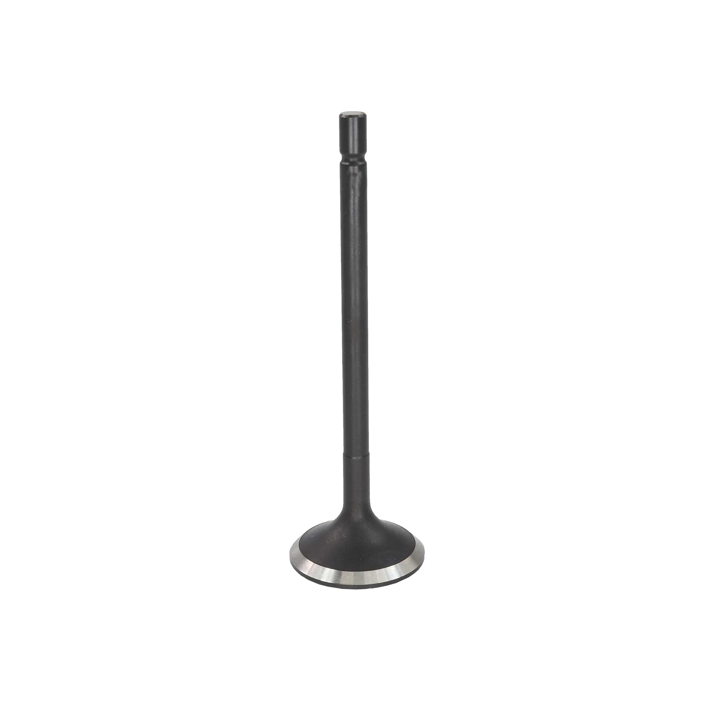 Exhaust Valve 2014 Subaru 2.0L