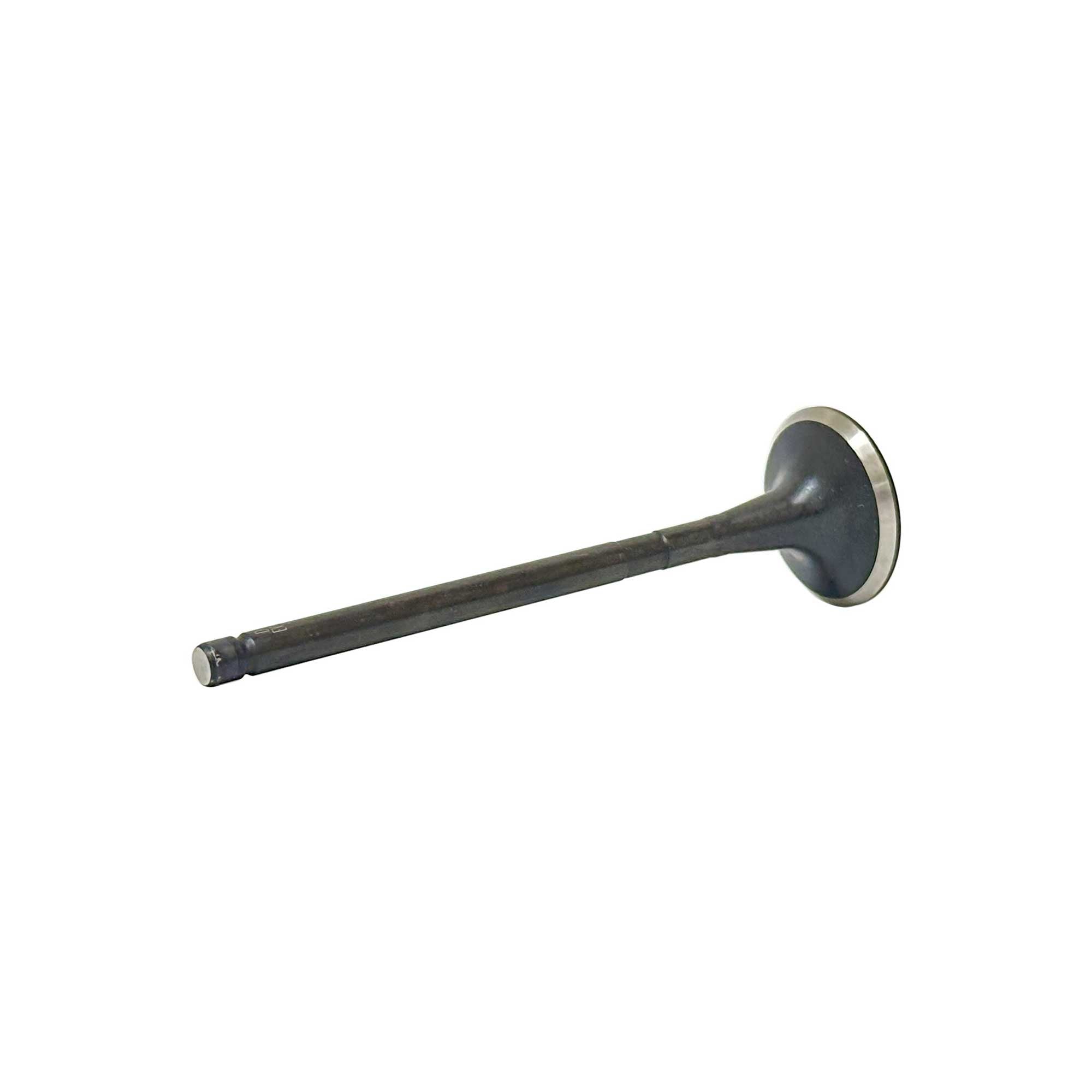 Exhaust Valve 2009-2017 Hyundai,Kia 4.6L-5.0L
