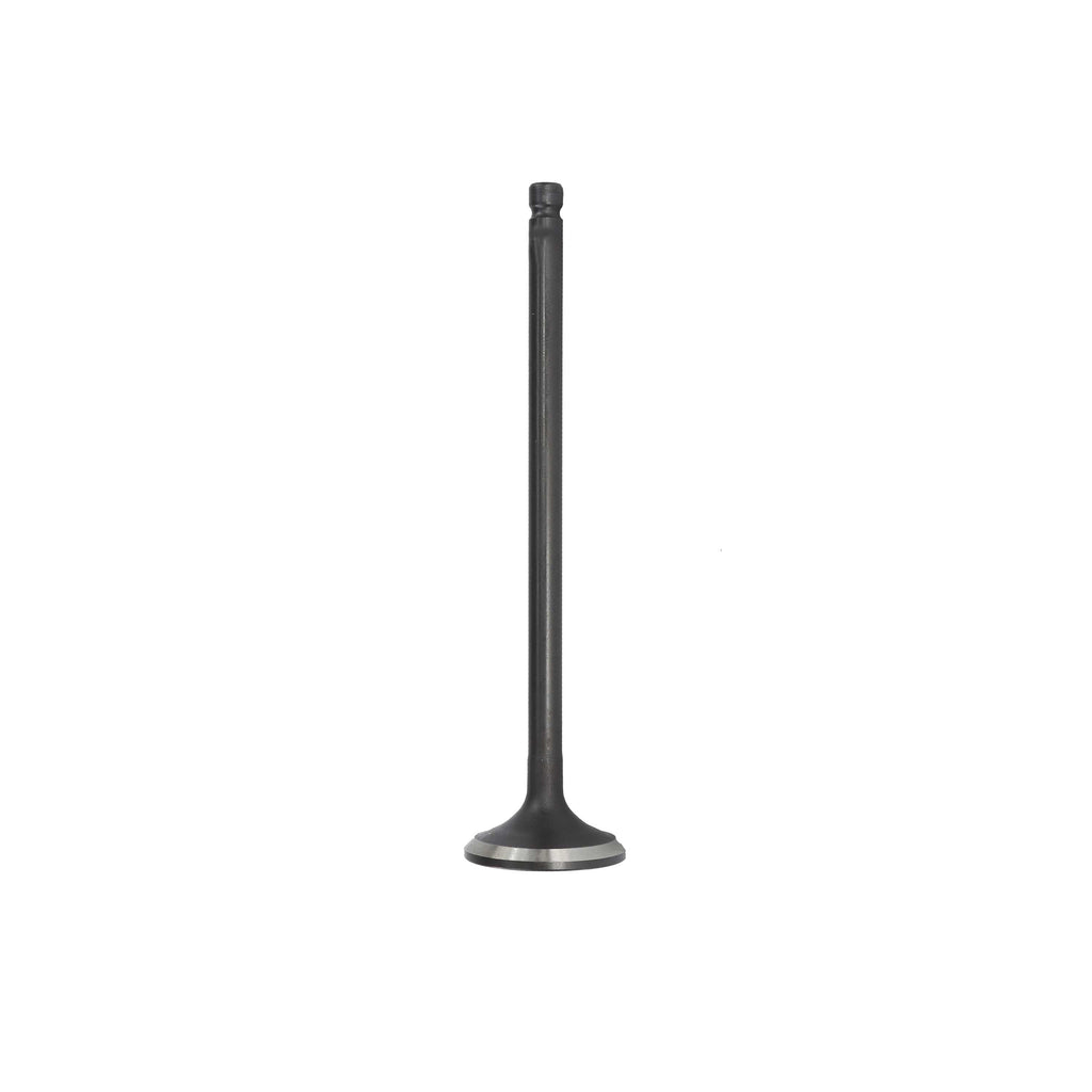 Exhaust Valve 2011-2017 Nissan 1.6L