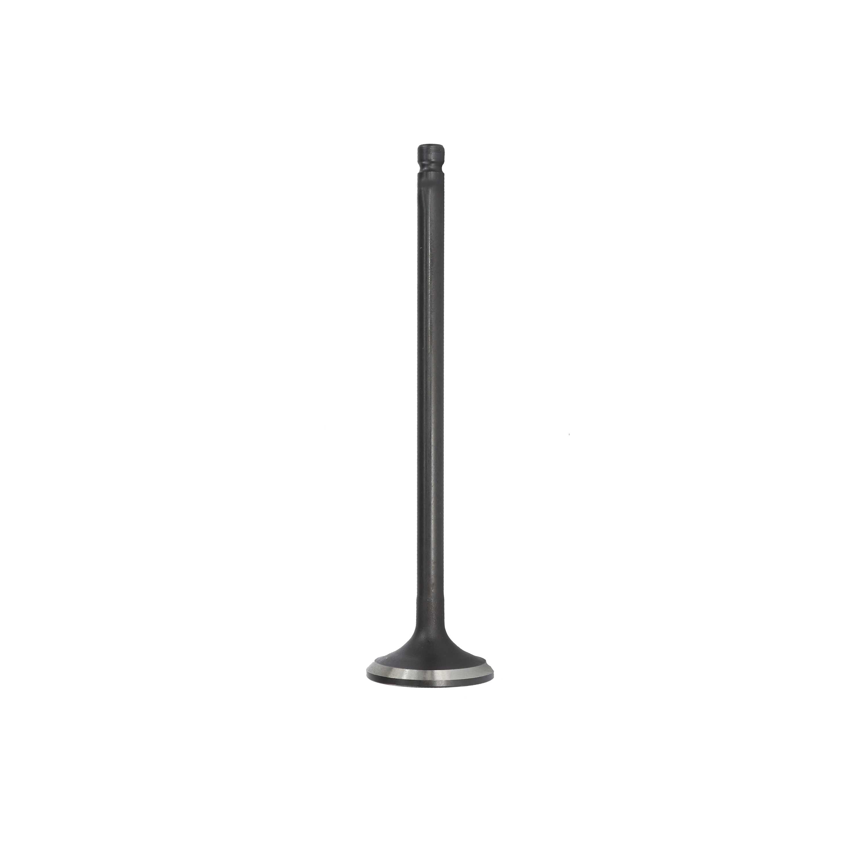 Exhaust Valve 2011-2017 Nissan 1.6L