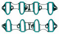 MANIFOLD GASKET SET