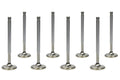 SBC C/P 1.600in Exhaust Valves