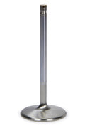 BBC C/P 2.350 Intake Valve
