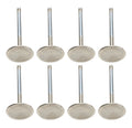 SBM C/6 2.020 Intake Valves 3/8 x 4.980