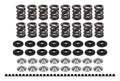 Endurance Dual Spring Kit Honda/Acura1.6/1.8