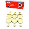 Expansion Plug Kit 1990-1998 Chrysler,Dodge,Eagle,Plymouth 3.3L