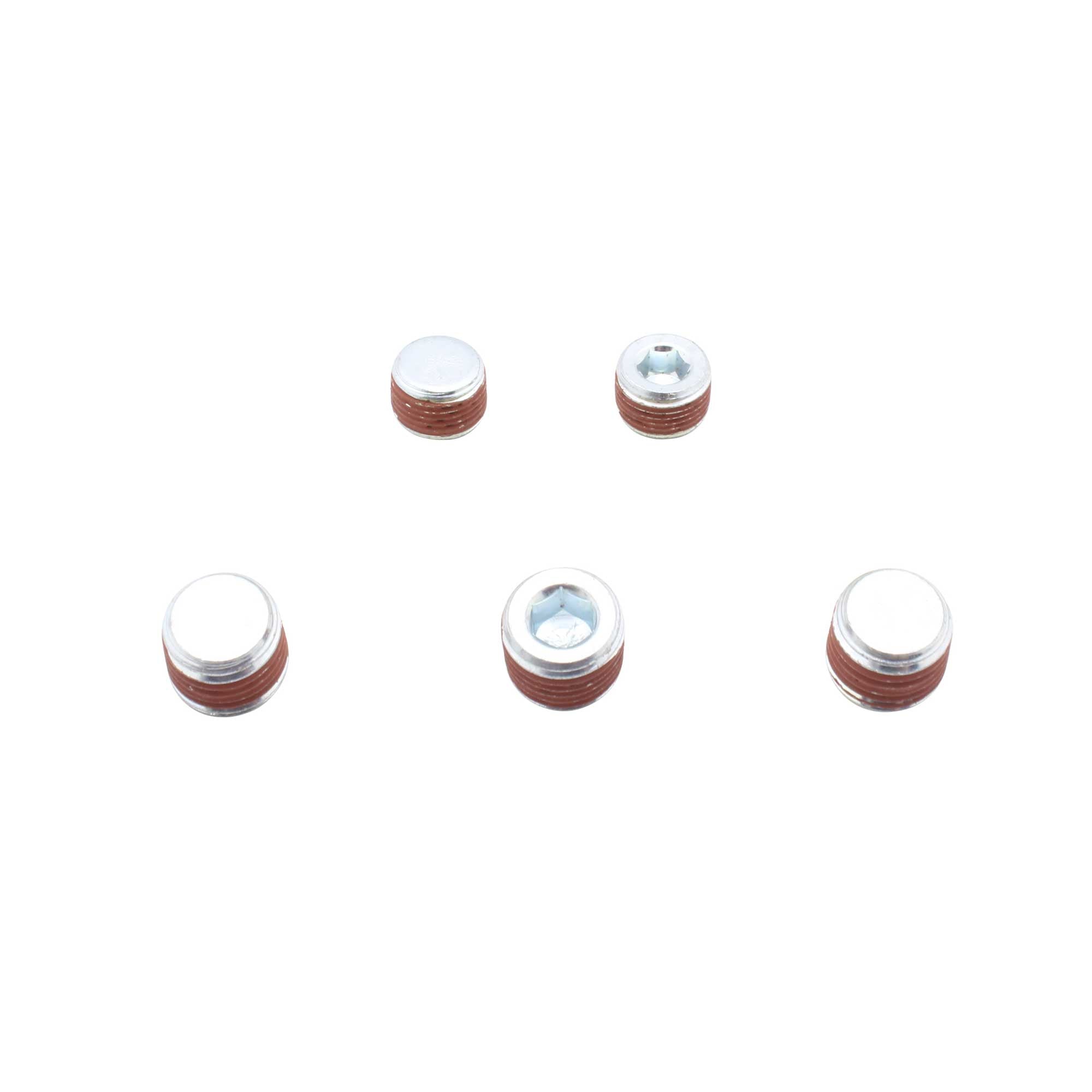 Expansion Plug Kit 1988-2003 Buick,Chevrolet,Oldsmobile,Pontiac 3.1L