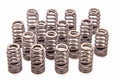 BOSS 302R VALVE SPRING KIT