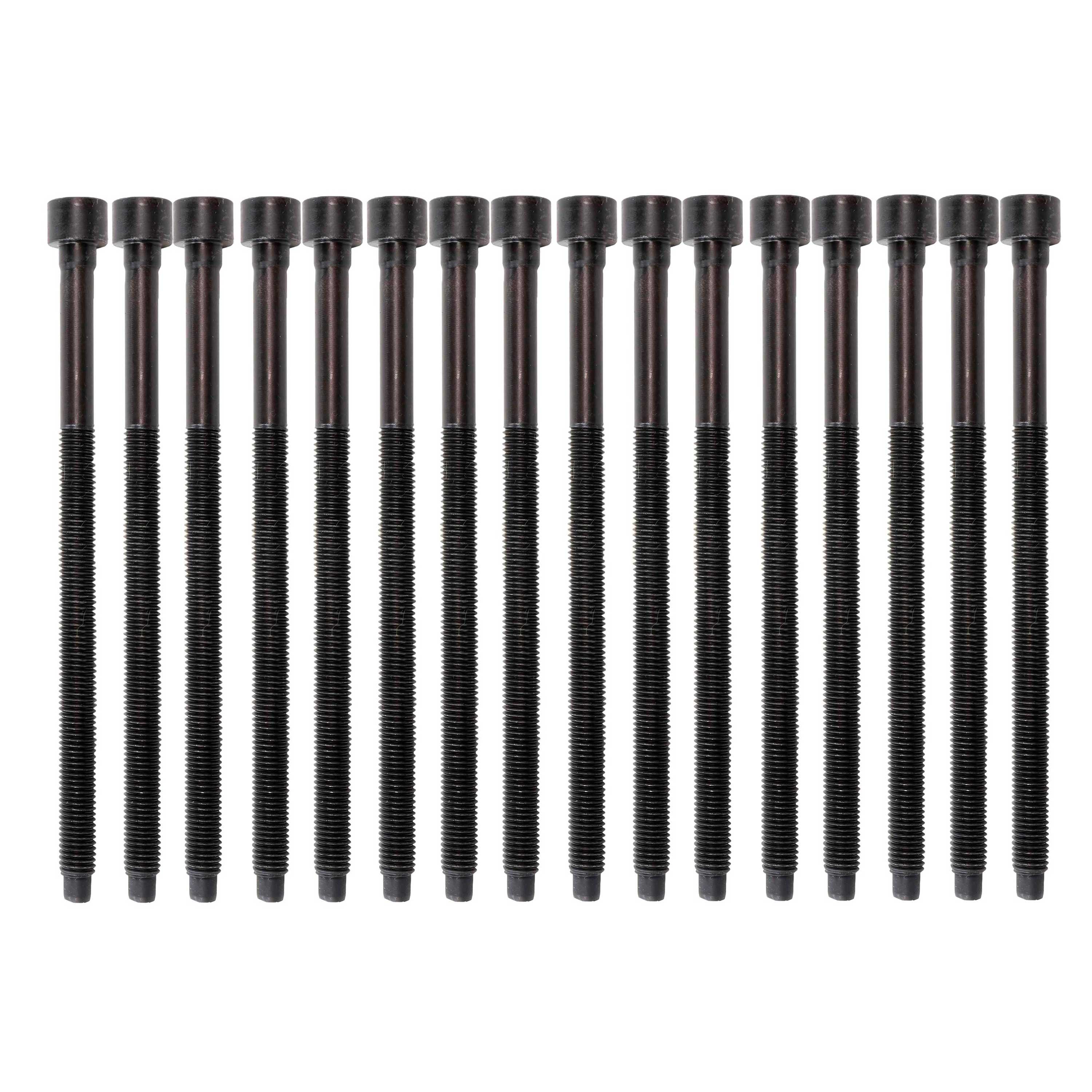 Cylinder Head Bolt Set 2005-2012 Audi,Volkswagen 3.0L-3.2L