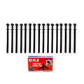 Cylinder Head Bolt Set 2013-2016 Audi,Volkswagen 3.0L