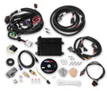 HP ECU AND HARNESS FORD